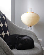 Rice Paper | Floor Lamp, Japanese Paper Lantern Standing Lamp, Japandi Floor Light for Living Room