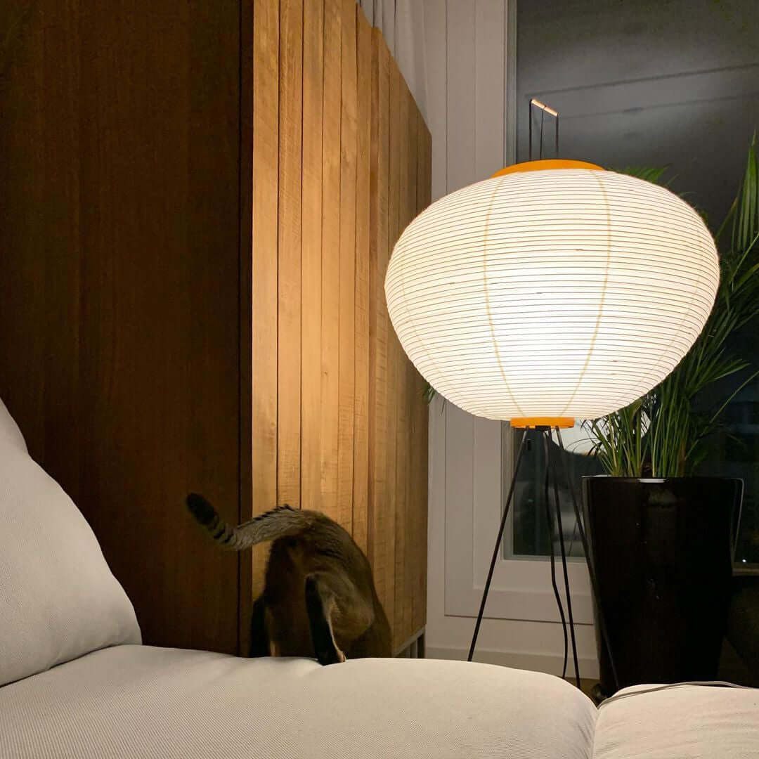 Rice Paper | Floor Lamp, Japanese Paper Lantern Standing Lamp, Japandi Floor Light for Living Room